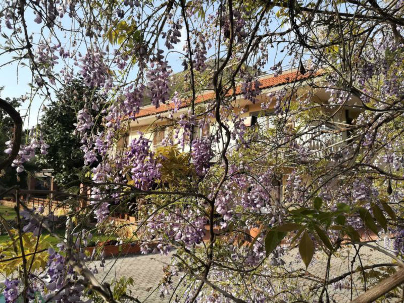 Villa Iris