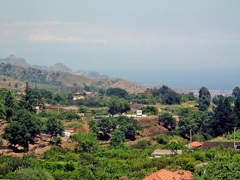 Palmento