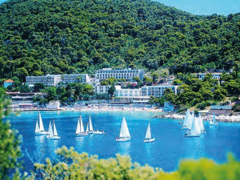 Hotel VIS