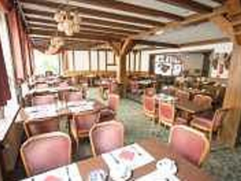 Hotel Ellenzer Goldbäumchen