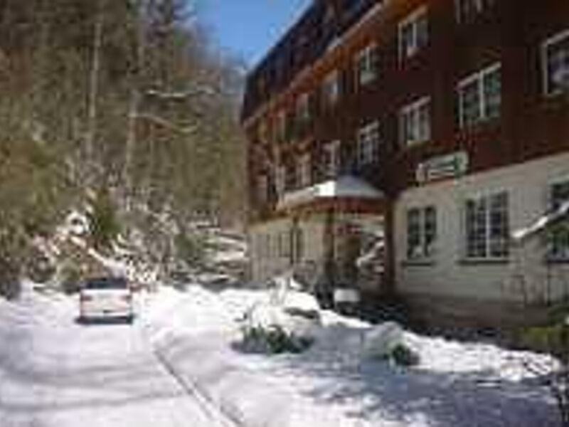 Waldhotel Am Ilsestein