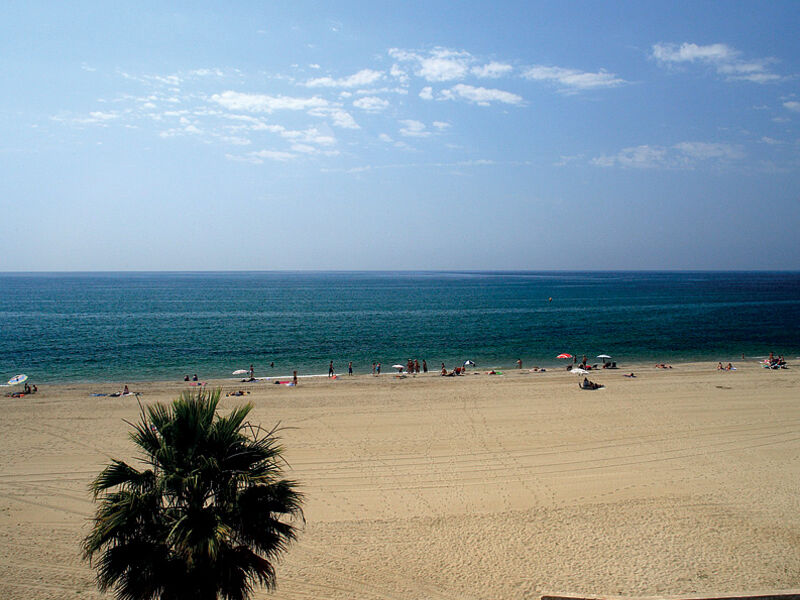 Apartmány Pins Platja