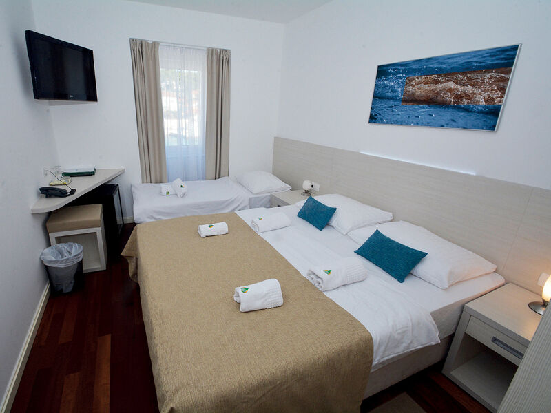 Hotel Borovnik