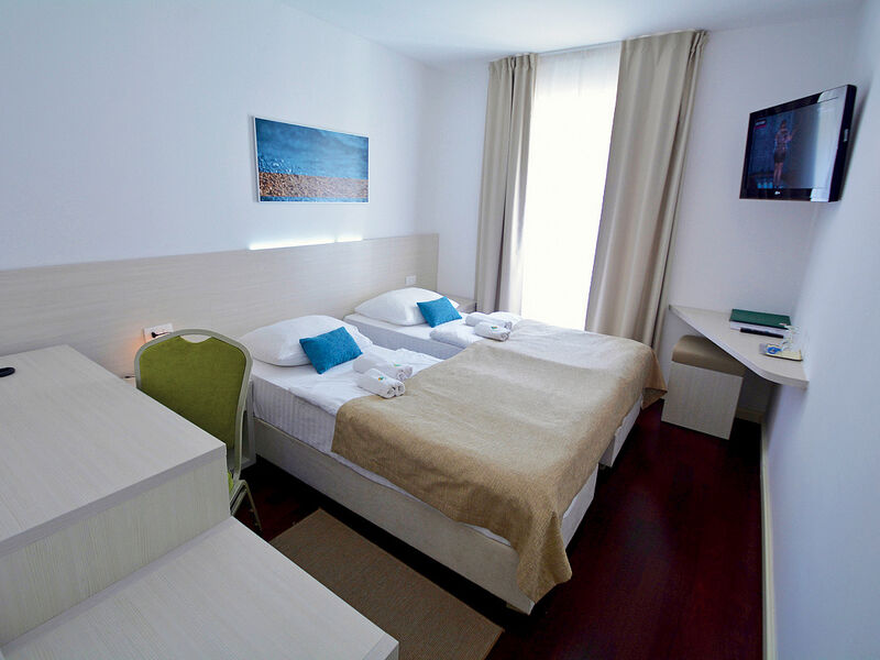 Hotel Borovnik