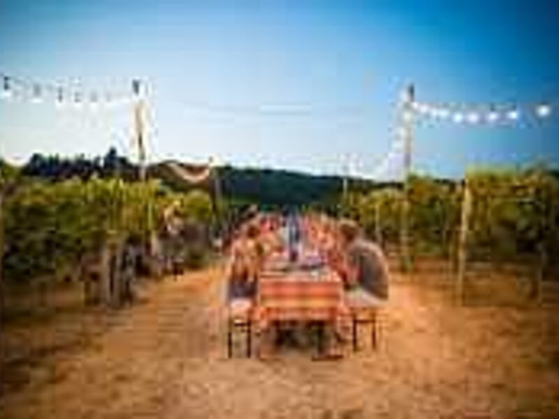 Agriturismo Casale Le Corti