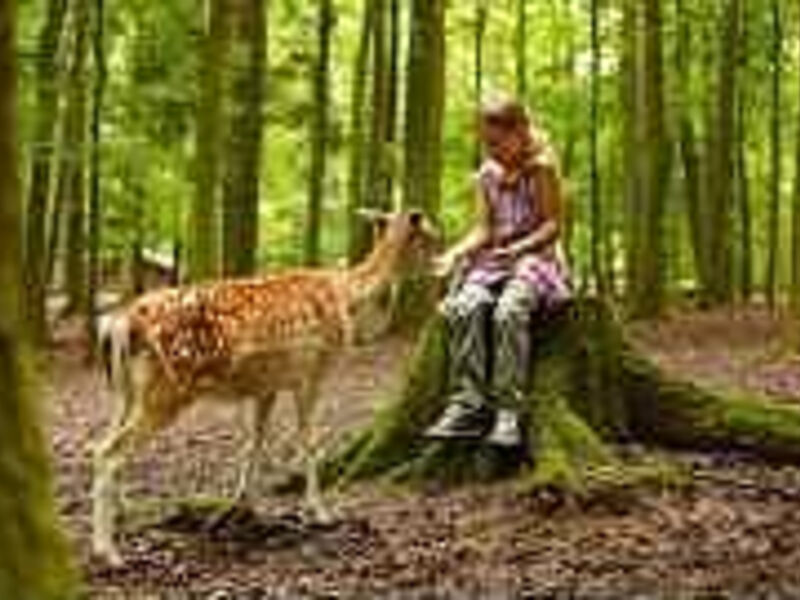 Natur-Resort Tripsdrill
