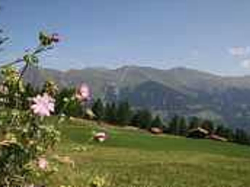 The Alpina Lodge