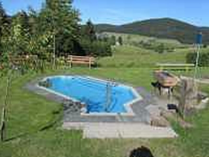 Hotel Schwarzwaldgasthof Zur Traube