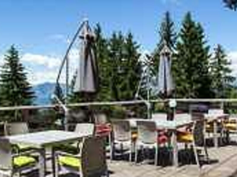 Hotel Alpine Mugon