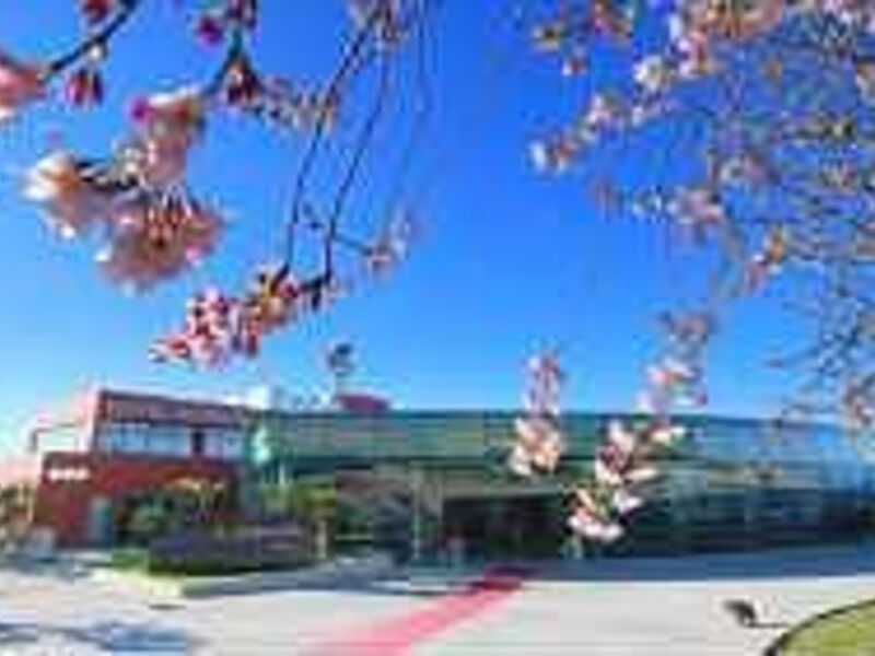 Hotel Histrion