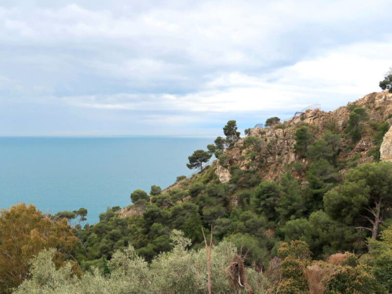 Vista Capo Mortola