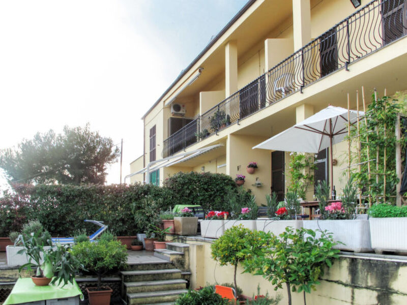 Bouganville