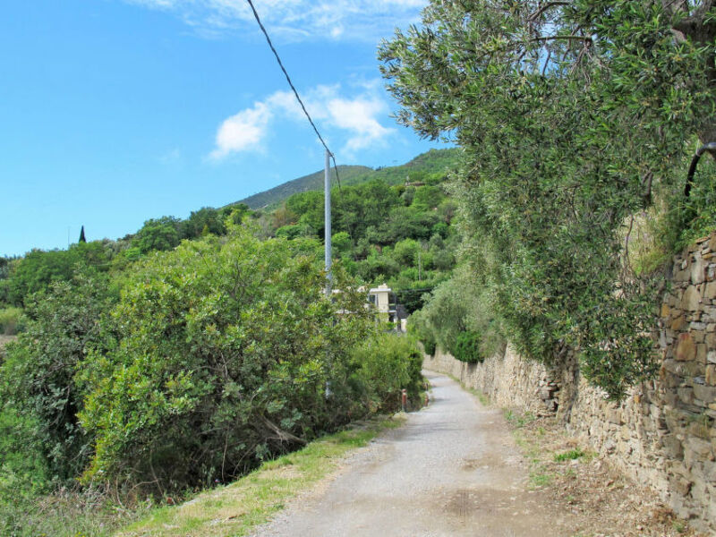 Vista Gallinara