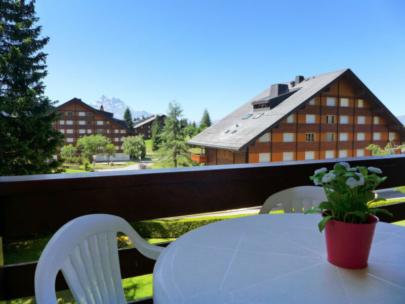 Chalet Merymont