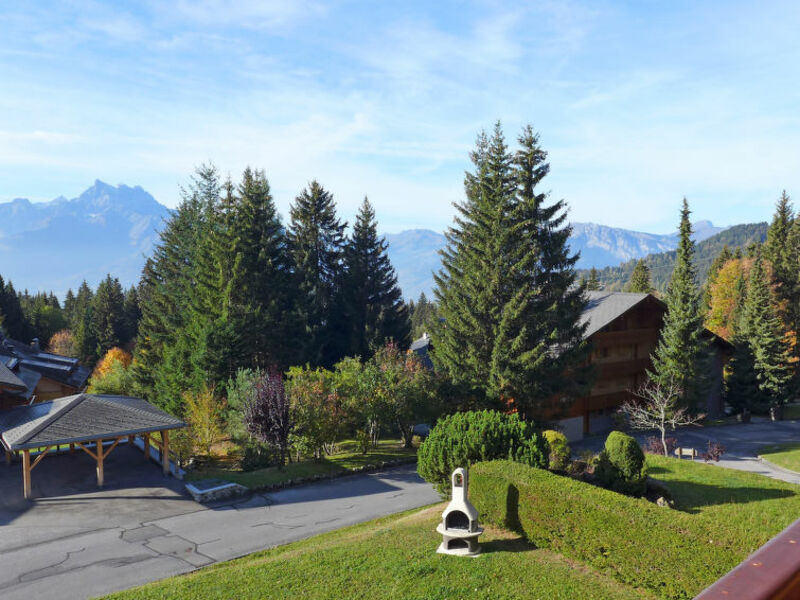 Argentière 3
