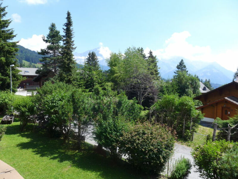 Le Mont Blanc 8