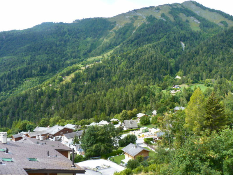Hauts De Morthey No 33