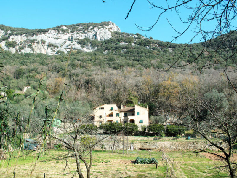 Agriturismo Alveare