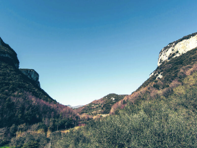 Agriturismo Alveare