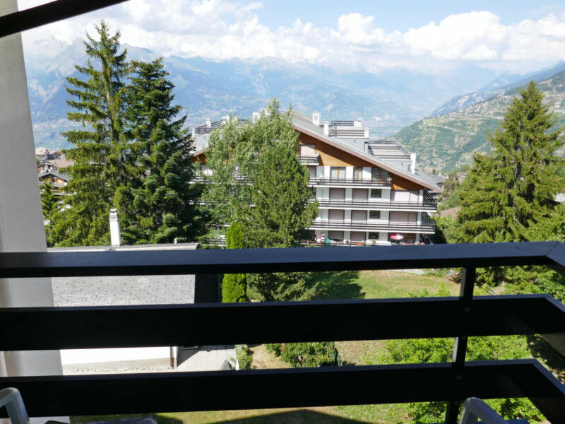 Montfort 17a