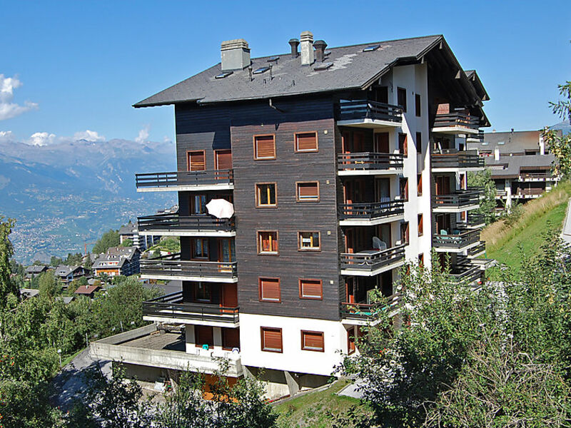 Foret E3