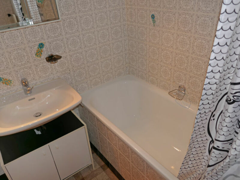 Bouleaux B2