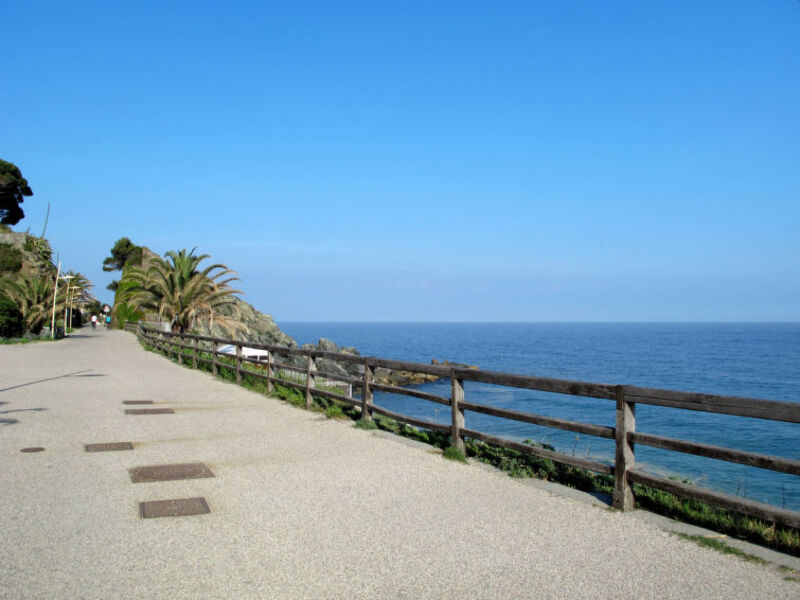 San Daniese