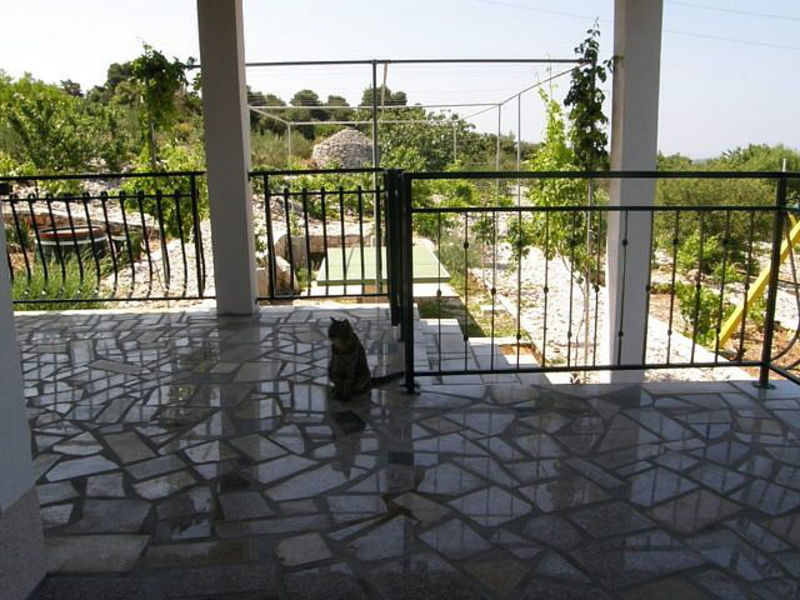 Apartmán 1355-54