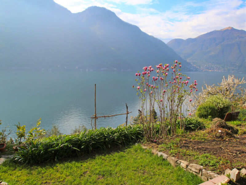 L'Angolo Del Lario