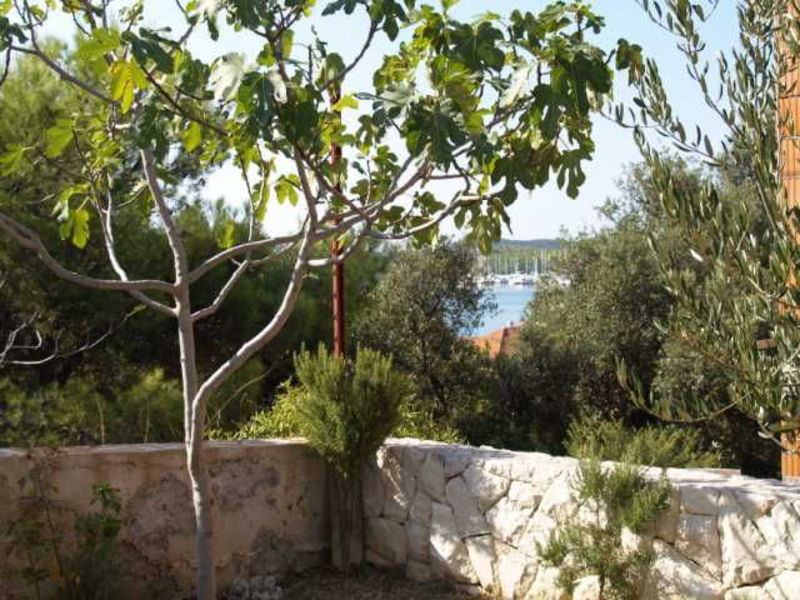 Apartmány Desanka