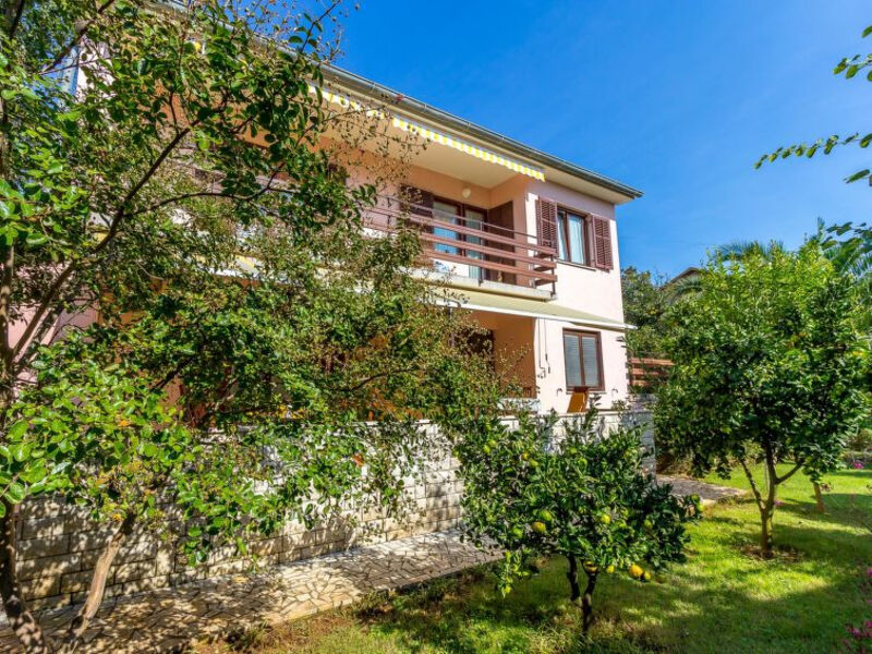 House Nikola