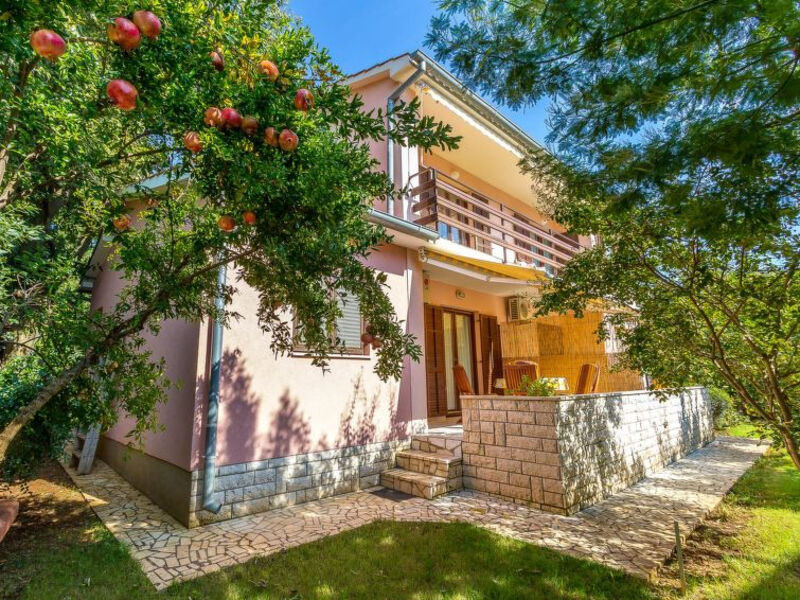 House Nikola