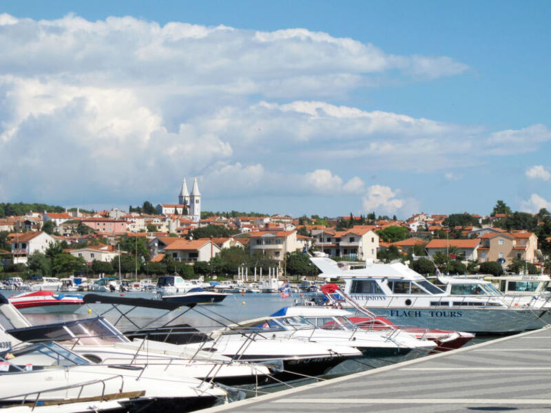 Janjic