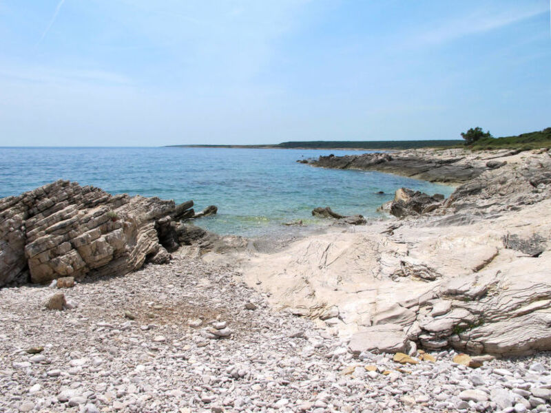 Janjic