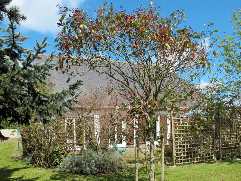 Maison De L'Océan