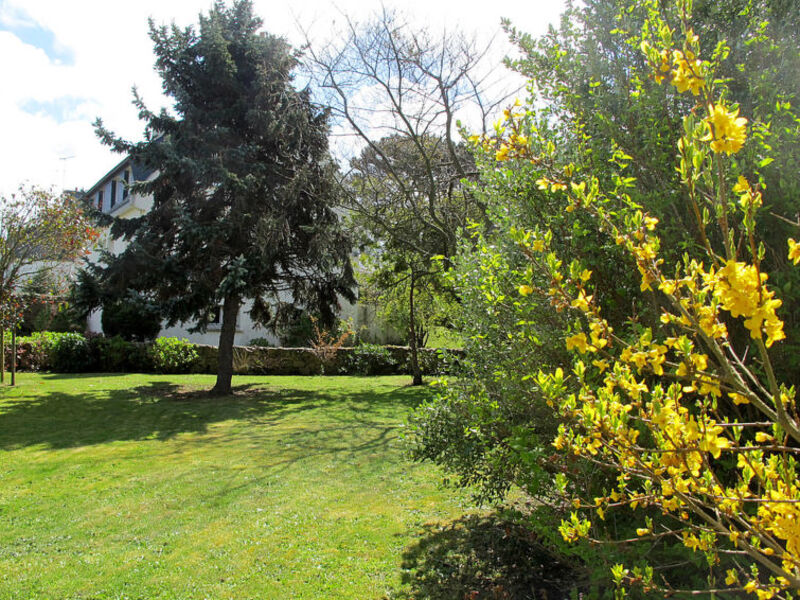 Maison De L'Océan