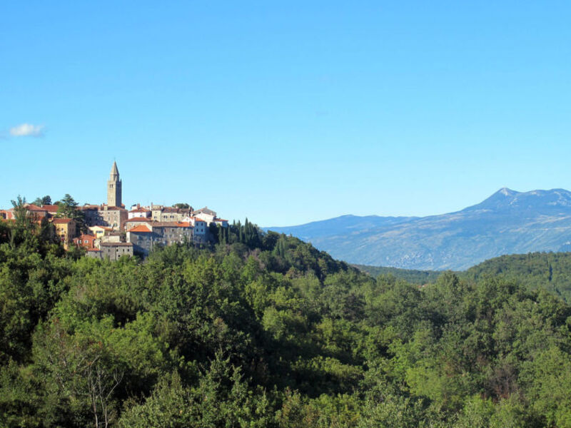 Biškupi