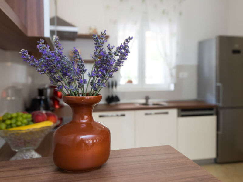 Lavanda