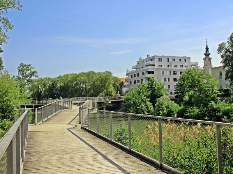 Donaublick