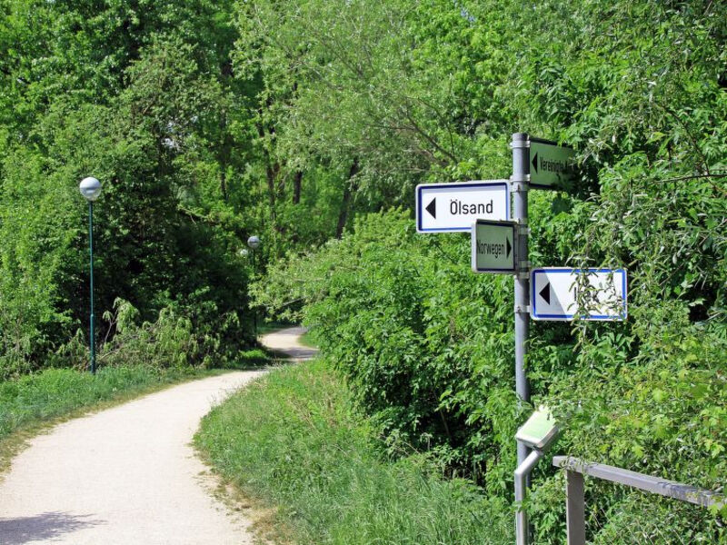 Donaublick