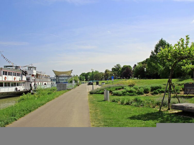 Donaublick