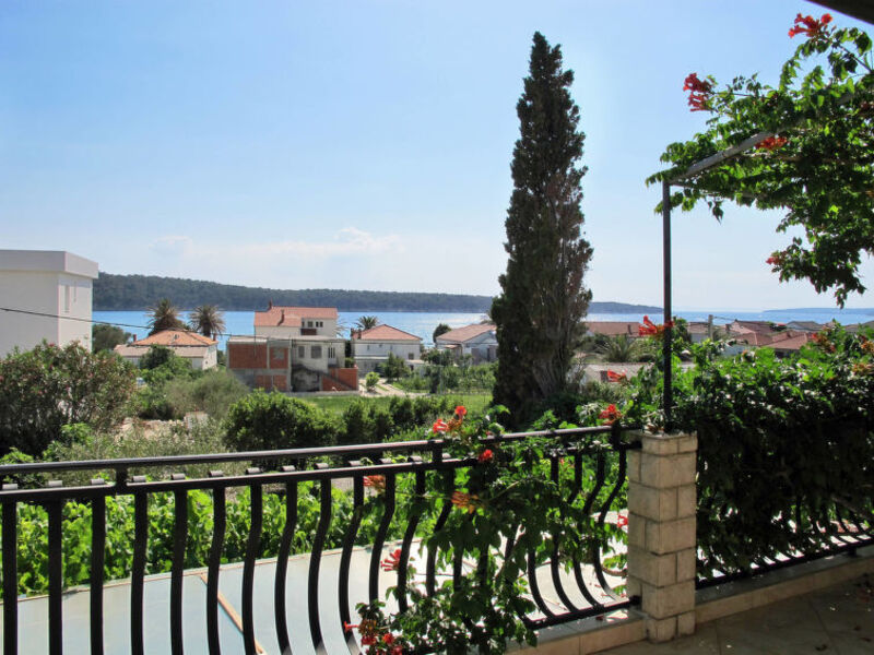 Petrica