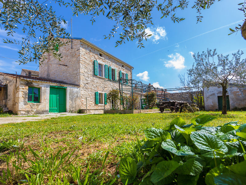 Vila 1318-464