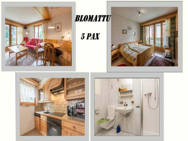 Blomattu 2
