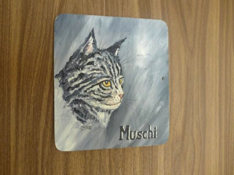 Acimo