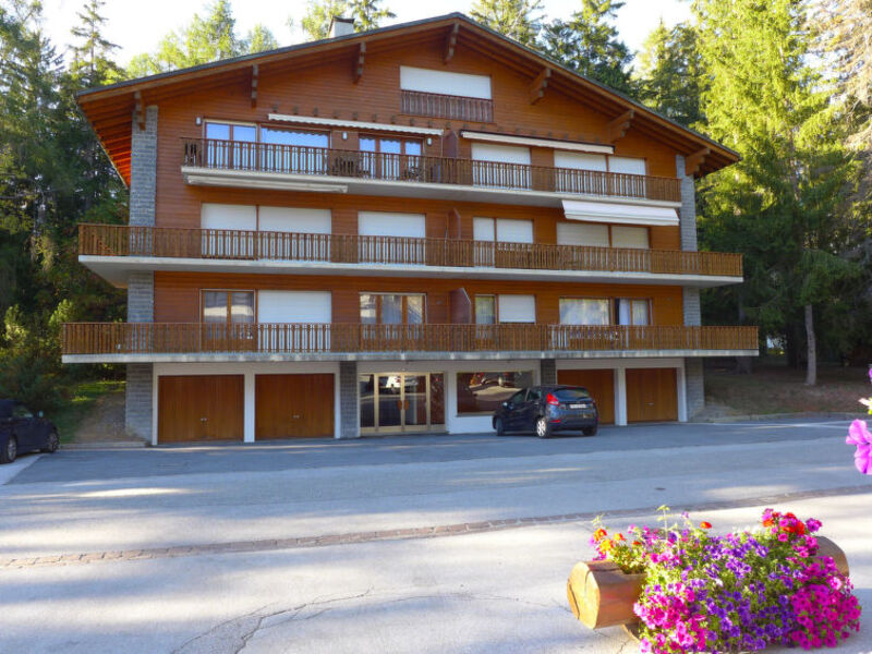 Les Chamois