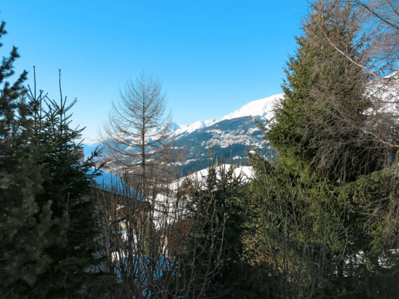 Chalet Bouton D'Or