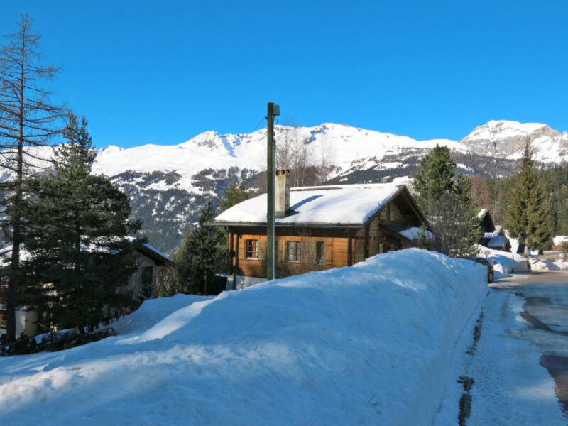 Chalet Bouton D'Or