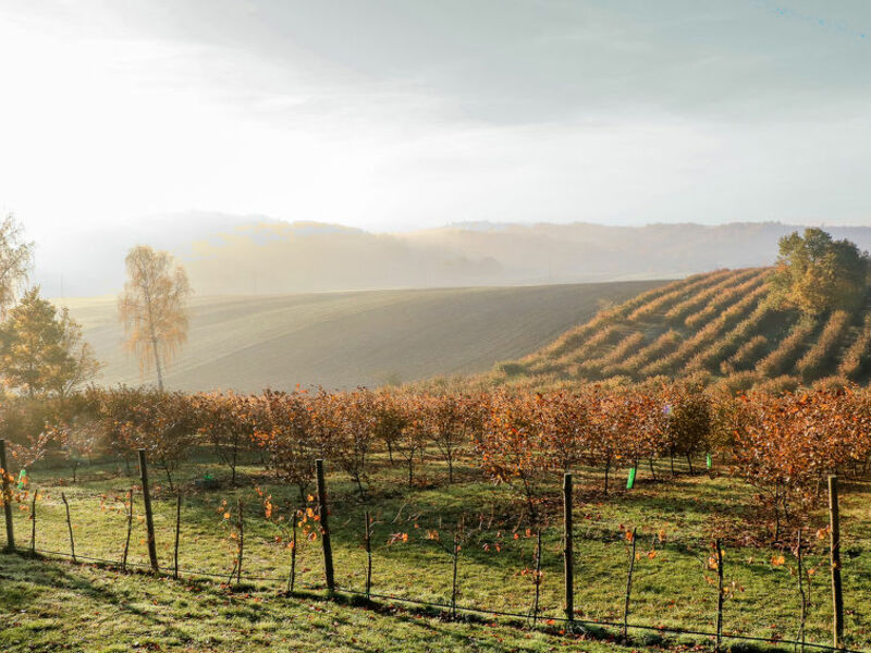 Jura Dla Ciebie