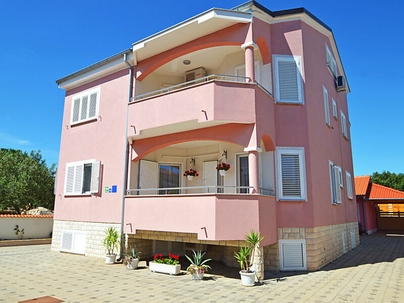 Galeb
